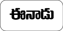 Digital Nest, Digital Nest School of Business
