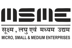 Digital Nest, Digital Nest School of Business
