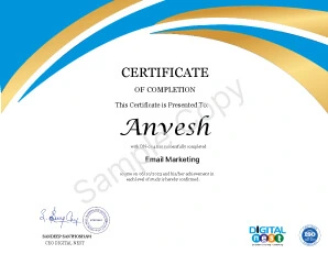 Digital Nest, Digital Nest School of Business