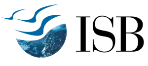 Digital Nest, Digital Nest School of Business